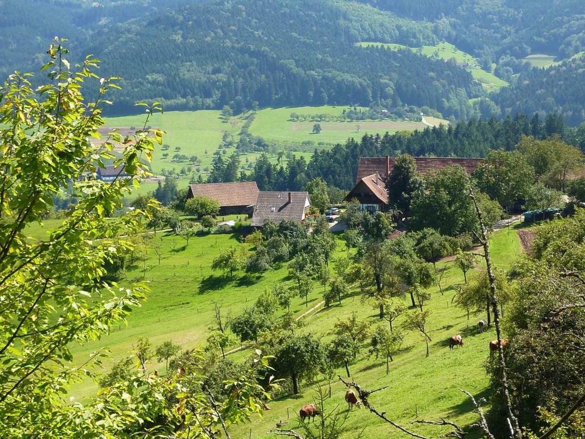 Ferienhaus Eck Zell am Harmersbach Extérieur photo